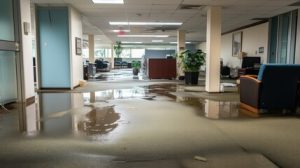 water damage restoration